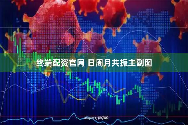 终端配资官网 日周月共振主副图